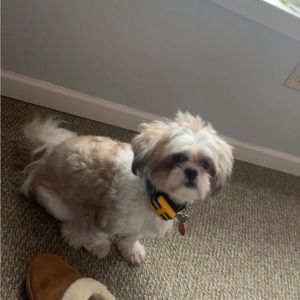 Meet your Posher, Genevieve